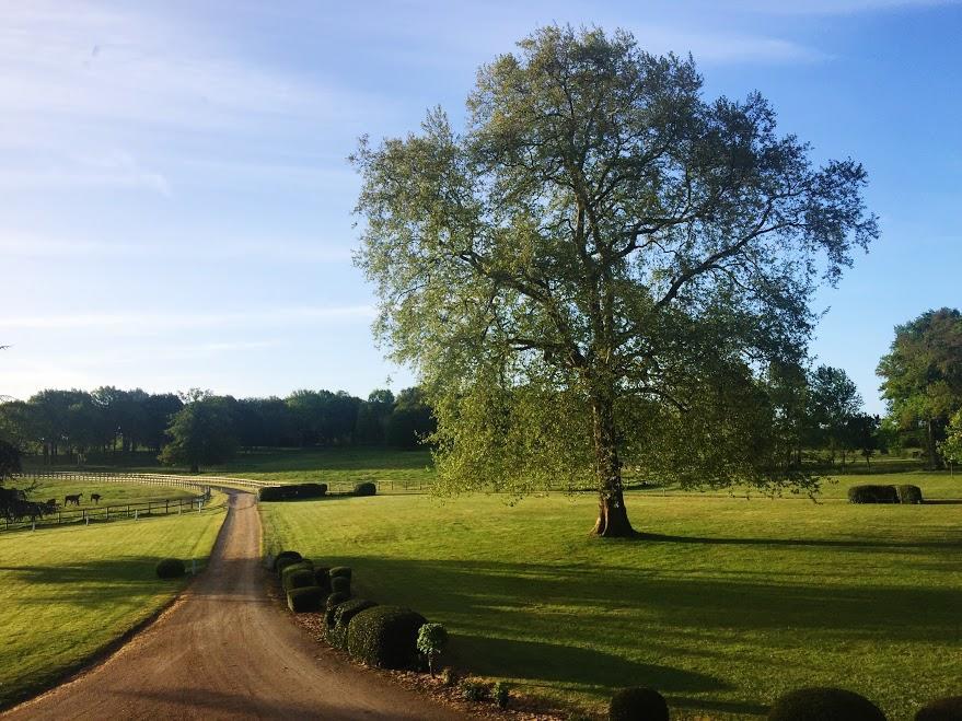 Hotel Haras De La Potardiere Crosmières Zewnętrze zdjęcie