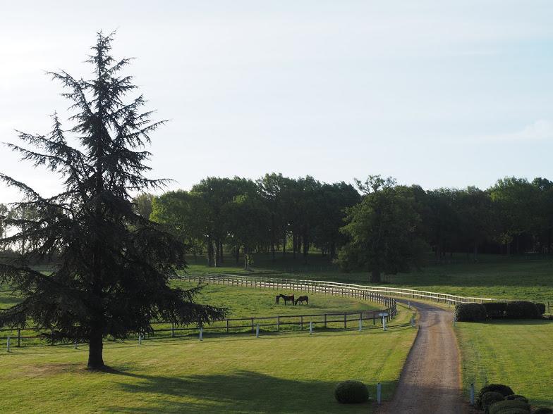 Hotel Haras De La Potardiere Crosmières Zewnętrze zdjęcie